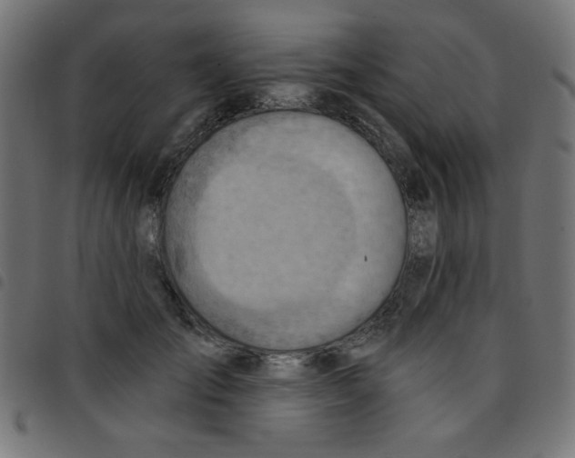 X0000096950701200803071028