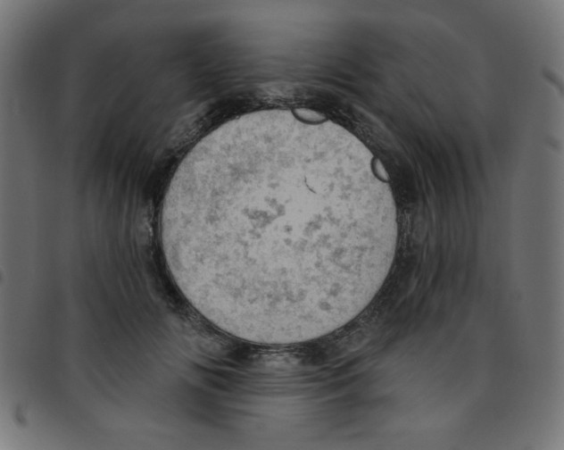 X0000096950702200803071028
