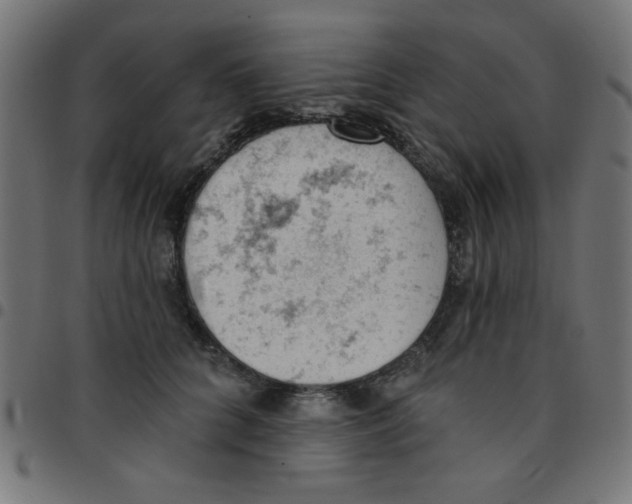 X0000096950704200803071028