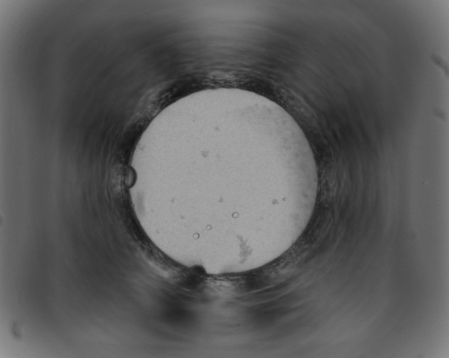 X0000096950706200803071028
