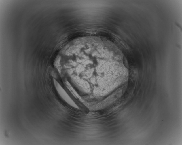 X0000096950707200803071028