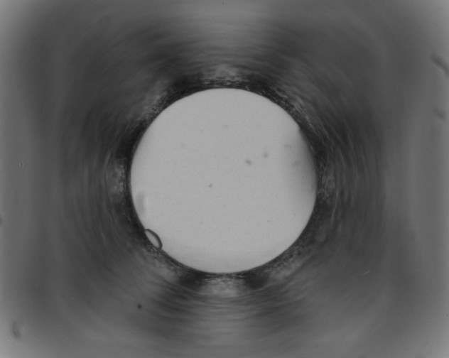 X0000096950708200803071028