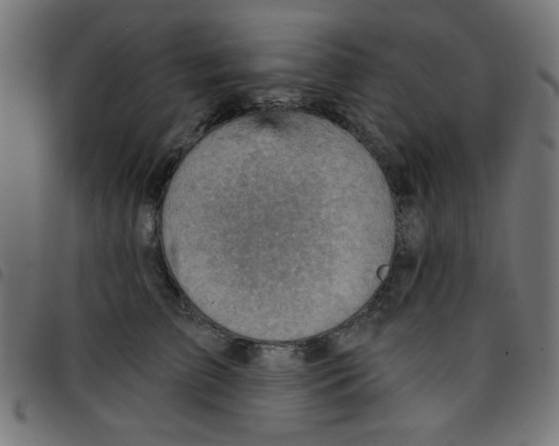 X0000096950709200803071028