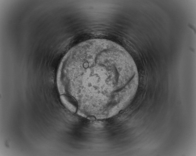 X0000096950710200803071028