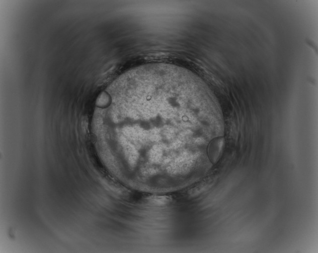 X0000096950711200803071028