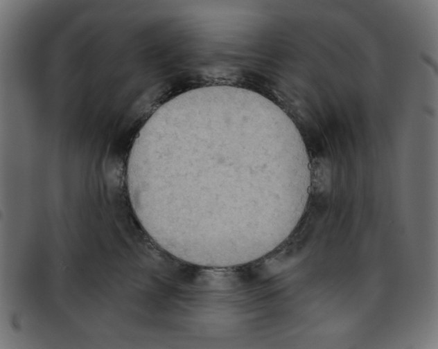 X0000096950713200803071028