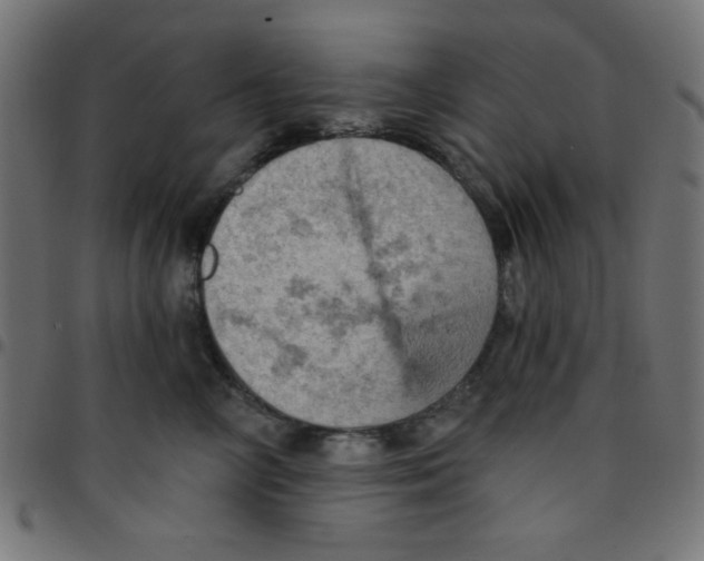 X0000096950714200803071028