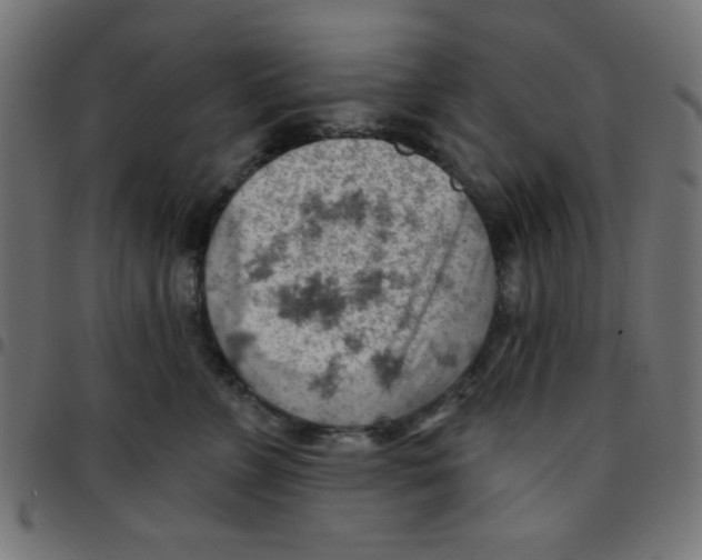 X0000096950715200803071028