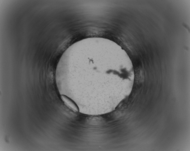 X0000096950716200803071028