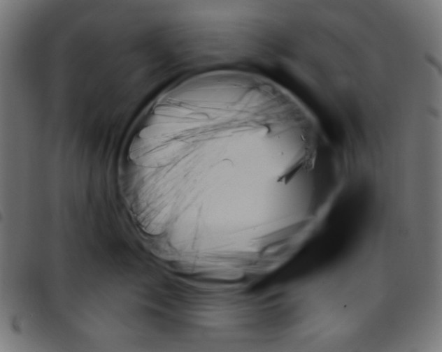 X0000096950717200803071028