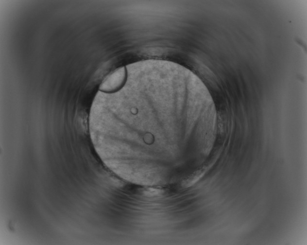 X0000096950718200803071028
