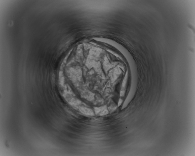 X0000096950720200803071028