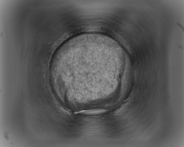 X0000096950721200803071027