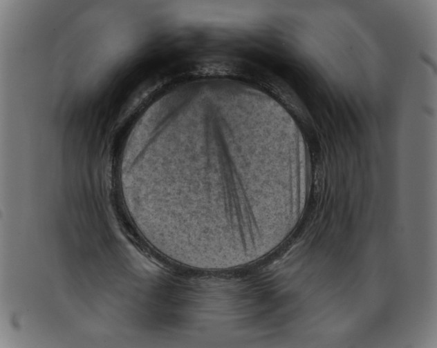 X0000096950722200803071027
