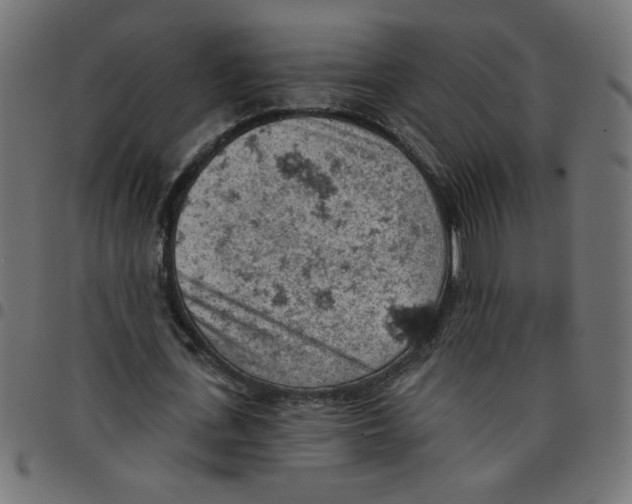 X0000096950723200803071027