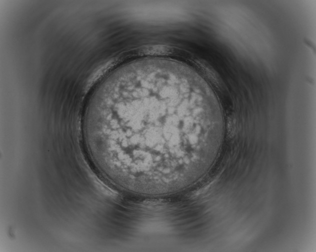 X0000096950725200803071027