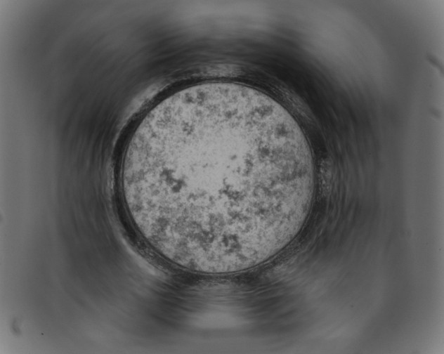X0000096950726200803071027