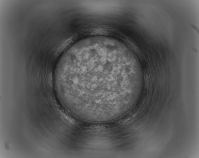 X0000096950729200803071027