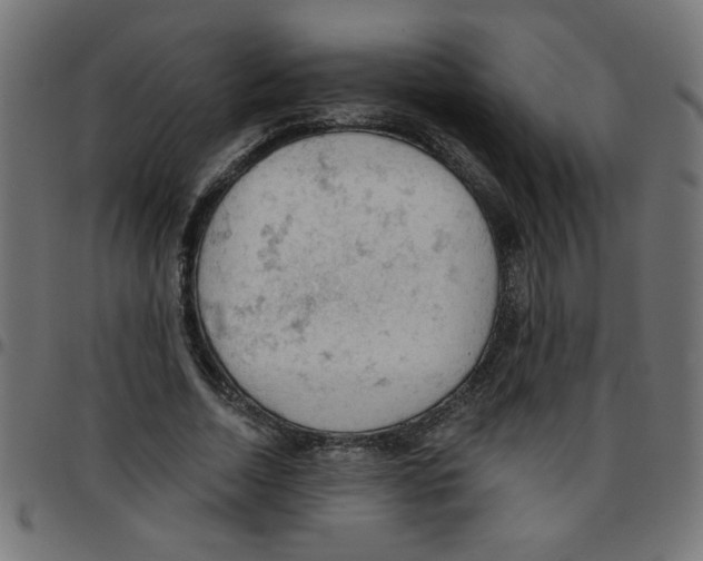 X0000096950730200803071027