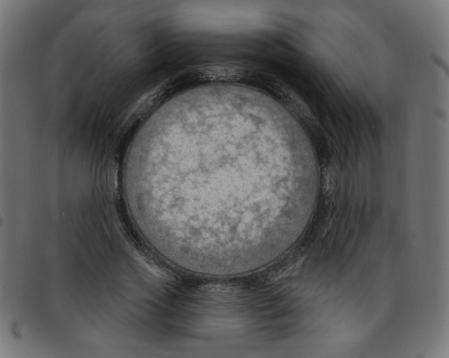 X0000096950733200803071027