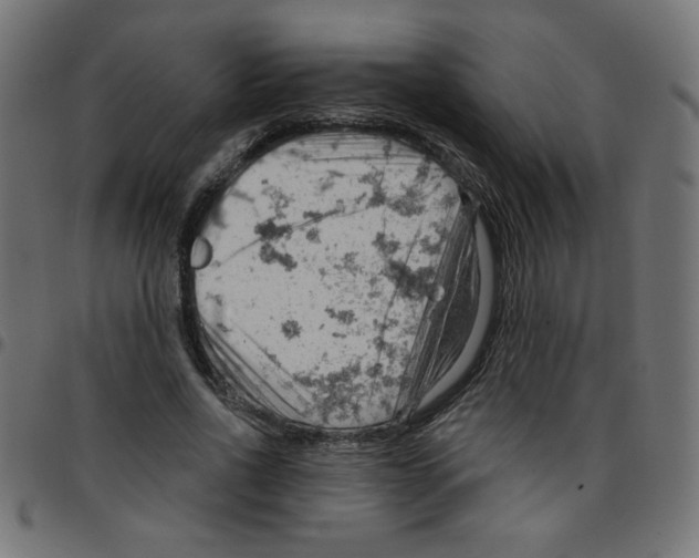 X0000096950734200803071027