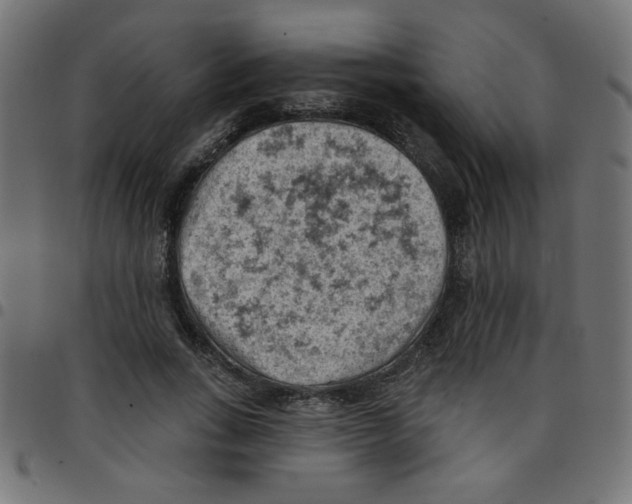 X0000096950735200803071027