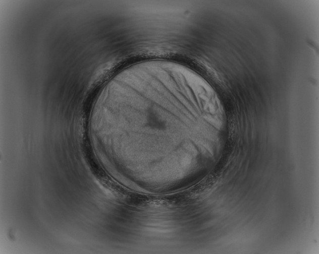 X0000096950736200803071027