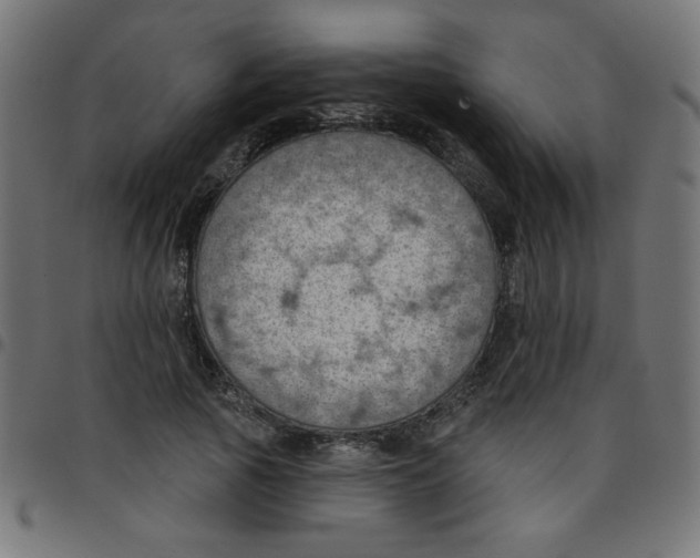 X0000096950737200803071027