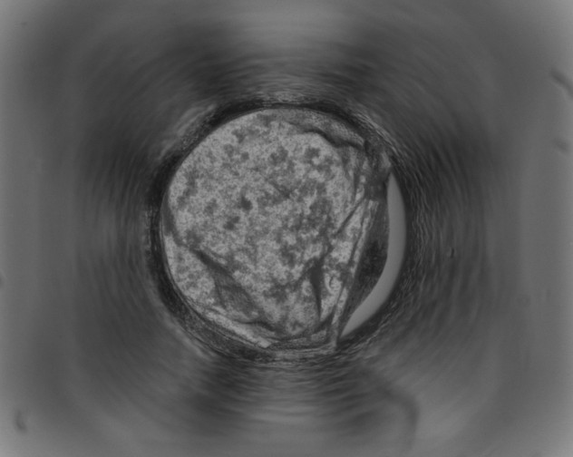 X0000096950738200803071027