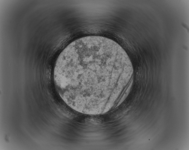 X0000096950739200803071027