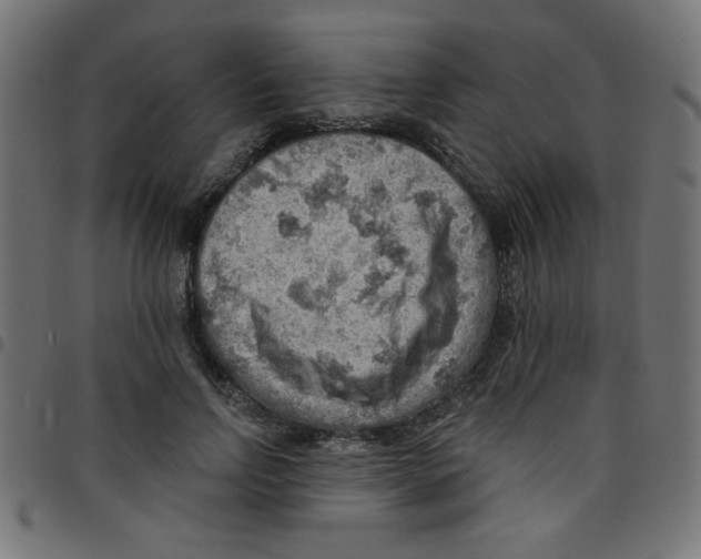 X0000096950742200803071027