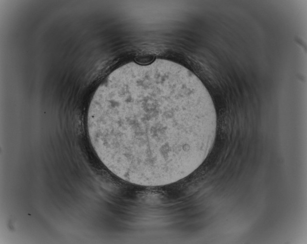 X0000096950743200803071028