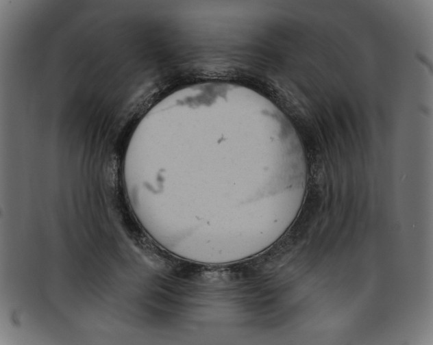 X0000096950744200803071028