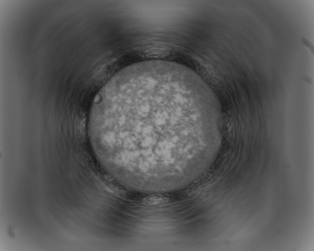 X0000096950745200803071028