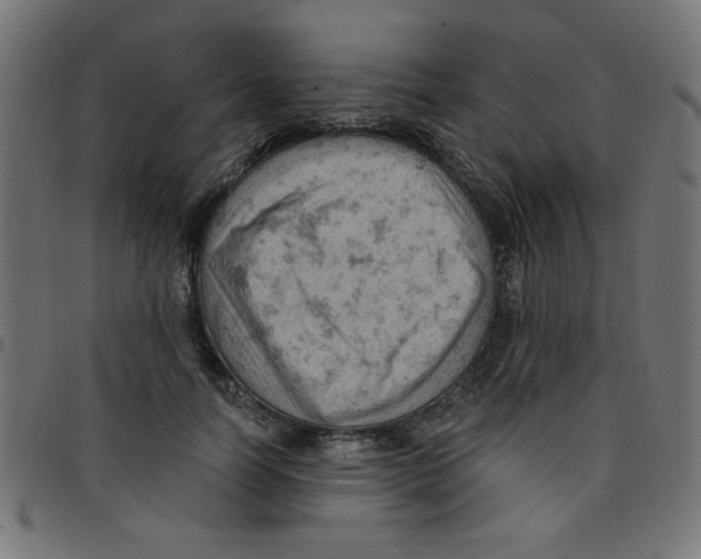 X0000096950746200803071028
