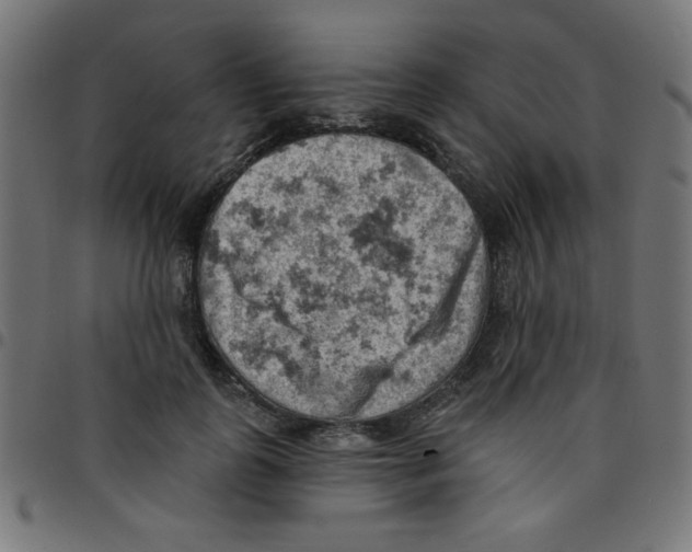 X0000096950747200803071028