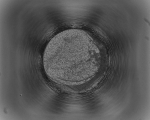 X0000096950748200803071028