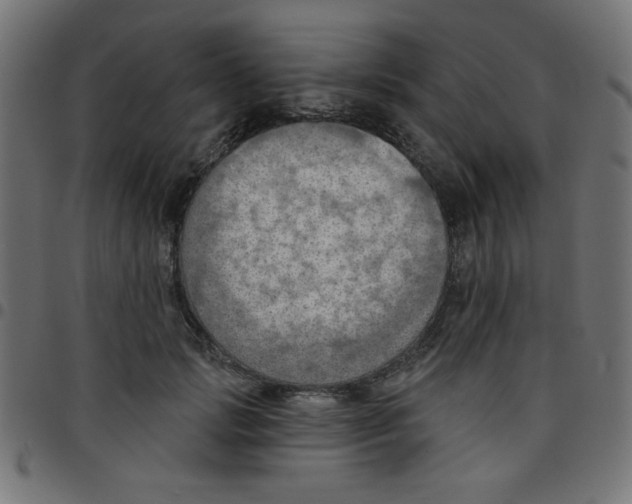 X0000096950749200803071028