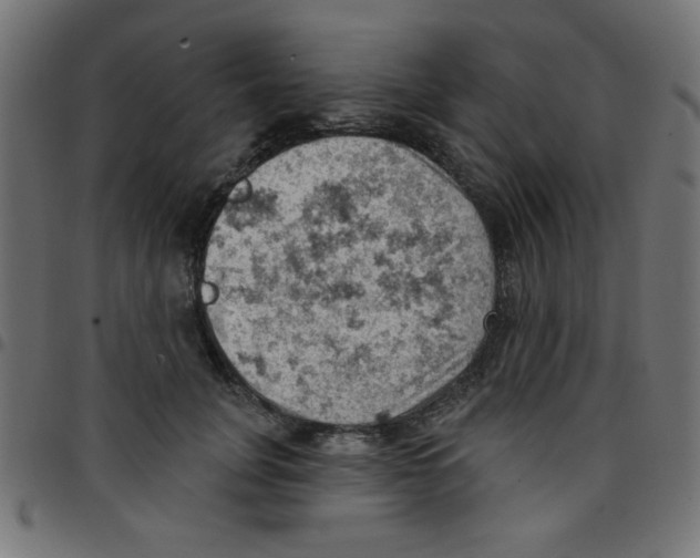 X0000096950751200803071028