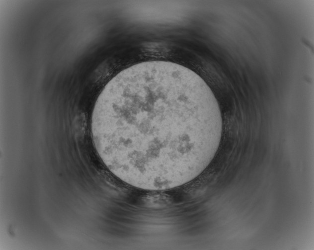 X0000096950752200803071028