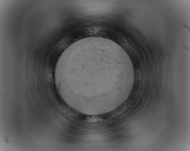 X0000096950754200803071028