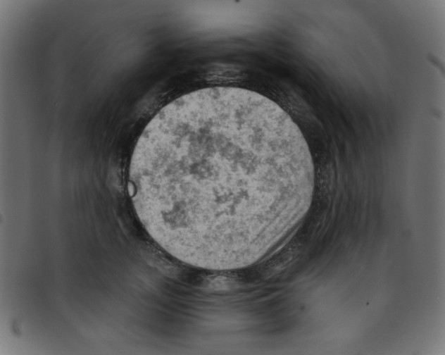 X0000096950755200803071028
