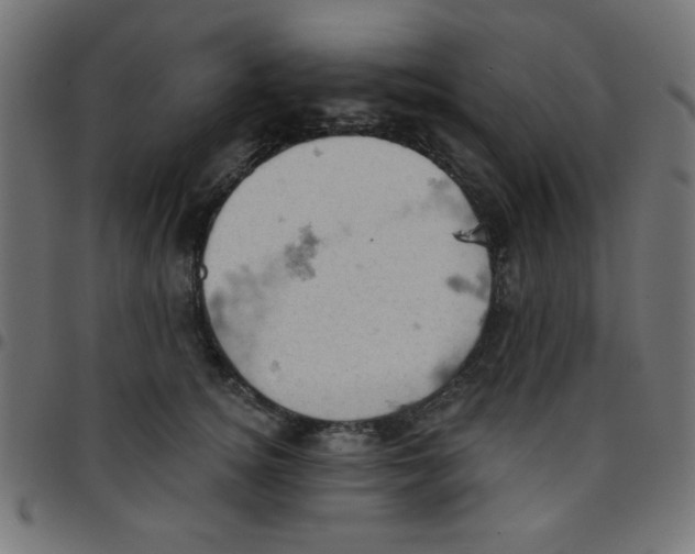 X0000096950756200803071028