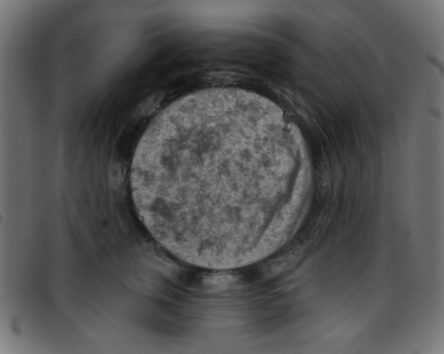 X0000096950759200803071028