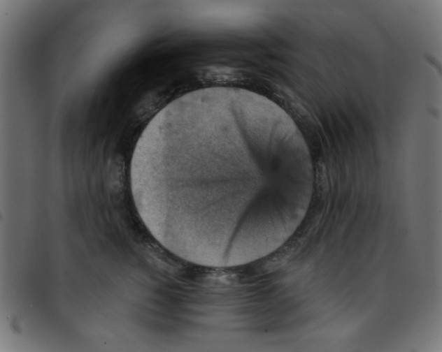 X0000096950760200803071028