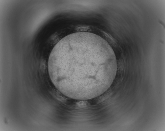 X0000096950761200803071028