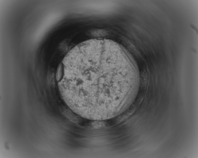 X0000096950762200803071028