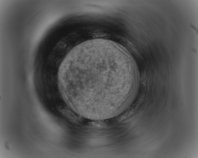 X0000096950763200803071028