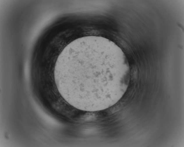 X0000096950764200803071028