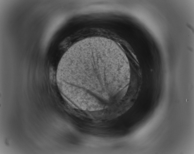 X0000096950766200803071028